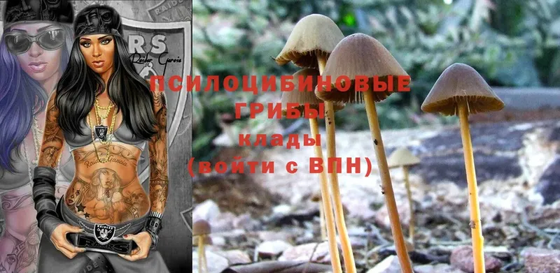 Галлюциногенные грибы MAGIC MUSHROOMS  как найти   Гаврилов-Ям 